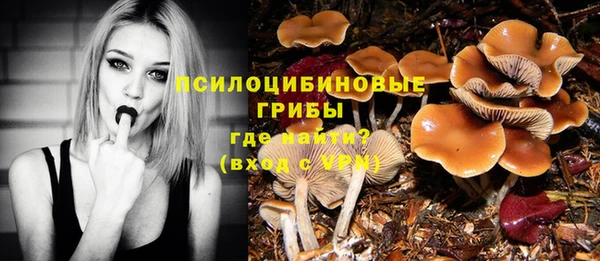 молекула духа Алексеевка
