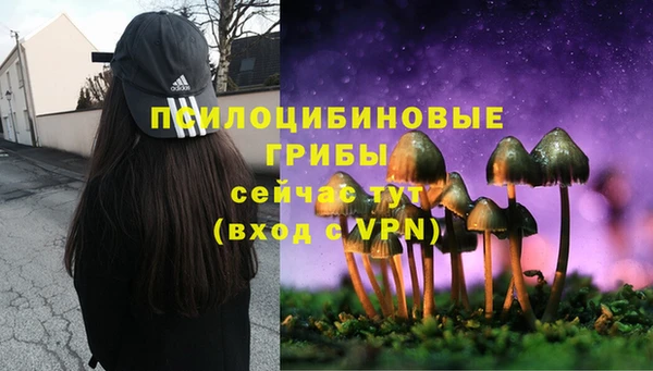 молекула духа Алексеевка