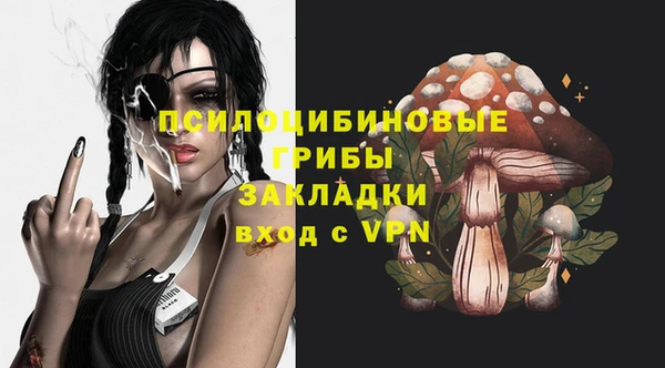 круглые Алзамай