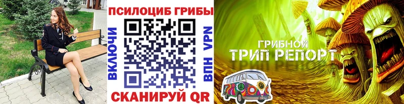 Галлюциногенные грибы Psilocybine cubensis  сколько стоит  Североуральск 